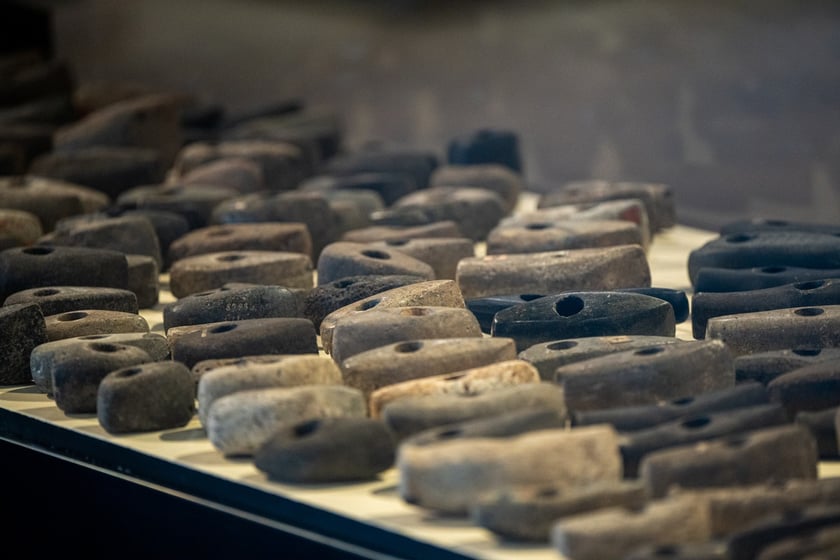 Wystawa Artificalia, naturalia, exotica w Muzeum Archeologicznym we Wrocławiu